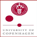 International PhD Fellowships in Innovation Management in Hosptial Systems, Denmark